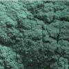 Holi Gulal poeder Groen 5kg