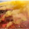 Color Spray 10x 5L