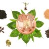 Vastu Energiser voor thuis