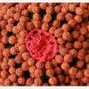 Rudraksha kralen kap